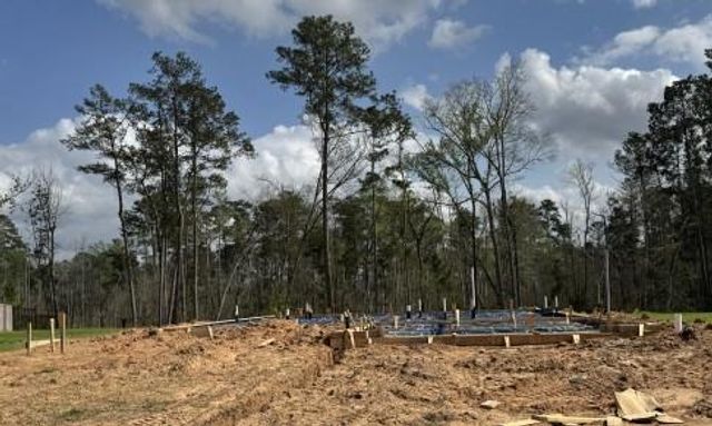 40519 Slough Way, Magnolia, TX 77354