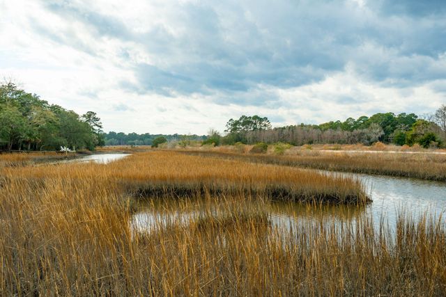 529 Two Mile Run, Johns Island, SC 29455