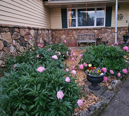 225 Elim Street, Forsyth, MO 65653