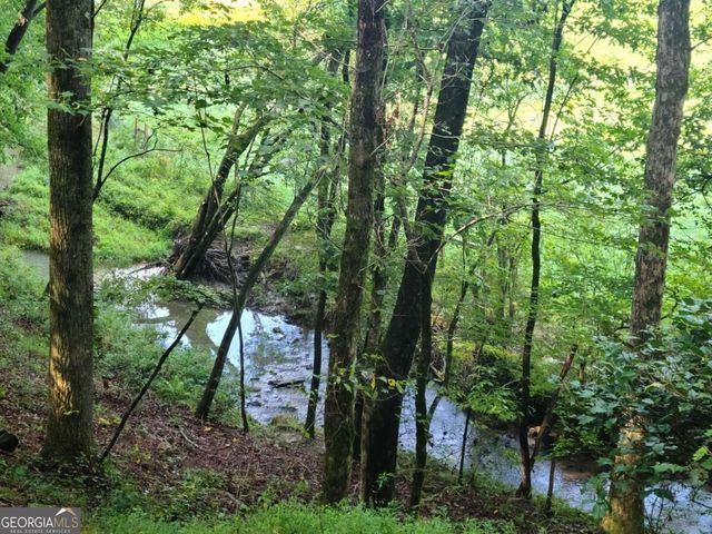 255 Clear Creek Preserve Way, Ellijay, GA 30536