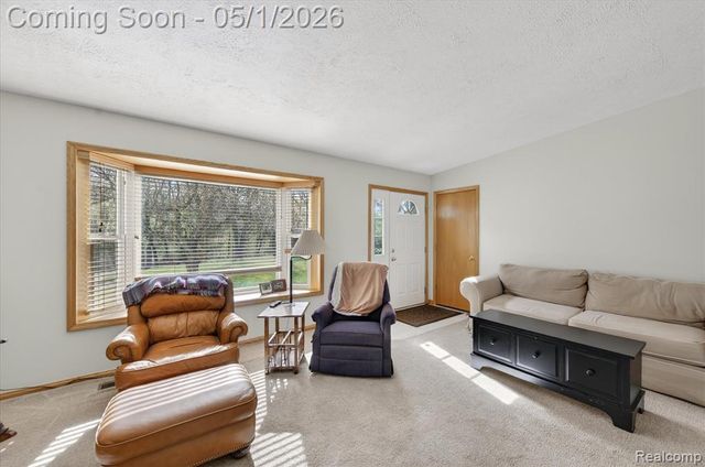 9074 Hamburg Road, Brighton, MI 48116
