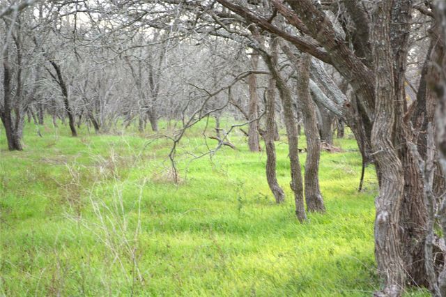 2473 W Hwy 21, Dale, TX 78616