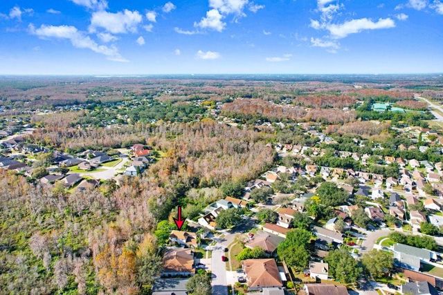 8638 HAWBUCK STREET, Trinity, FL 34655