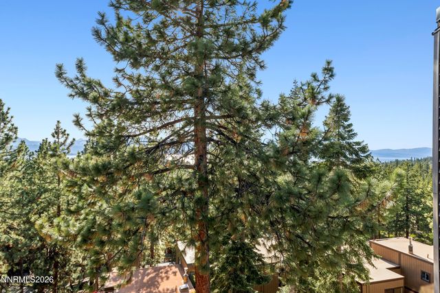 133 Holly Lane, Stateline, NV 89449