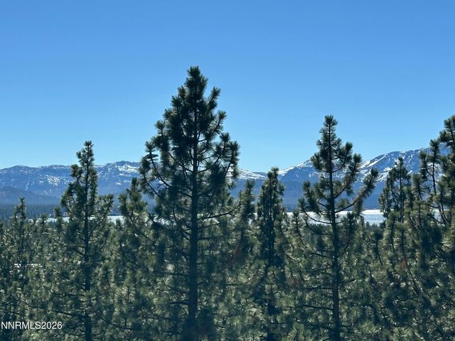 133 Holly Lane, Stateline, NV 89449