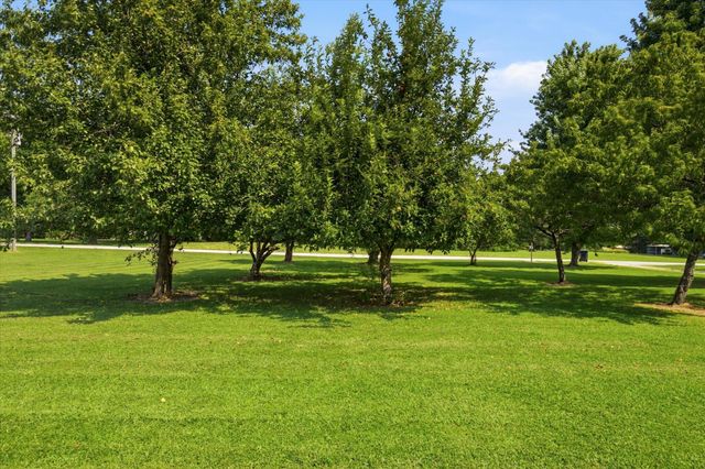 195 Meadow Hill Lane, Rogersville, MO 65742
