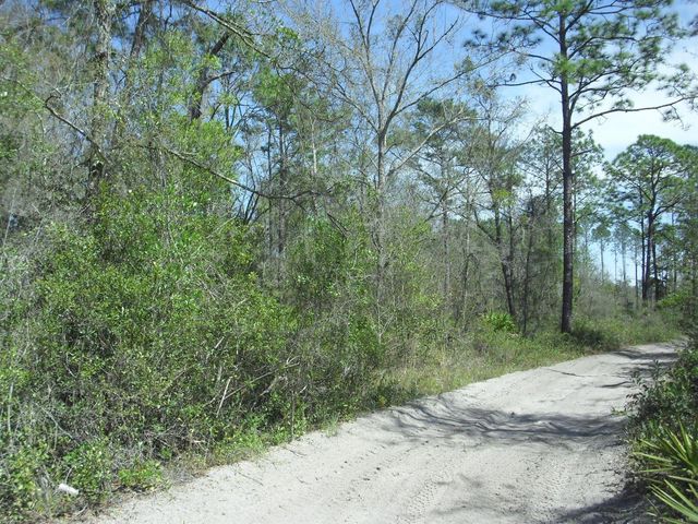 Tract 418 SW 158TH LANE, Dunnellon, FL 34432