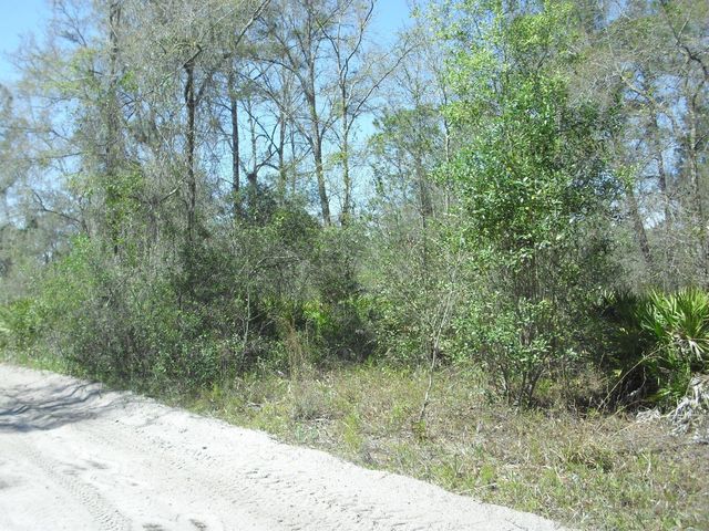 Tract 418 SW 158TH LANE, Dunnellon, FL 34432