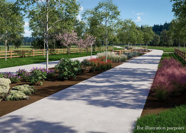 10220 Jess Wallace Road, Argyle, TX 76226