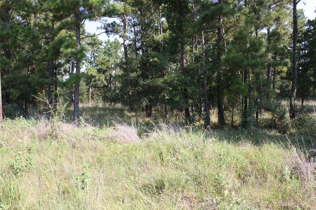 Lot 3 Morris Lane, Huntsville, TX 77320