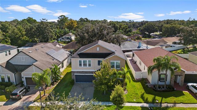 3147 CALVANO DRIVE, Land O Lakes, FL 34639