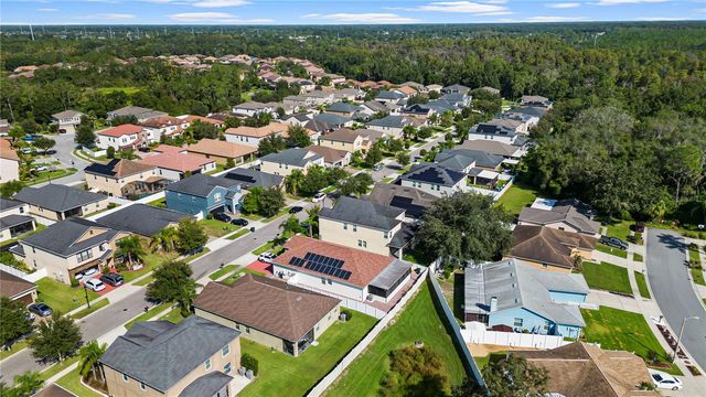 3147 CALVANO DRIVE, Land O Lakes, FL 34639
