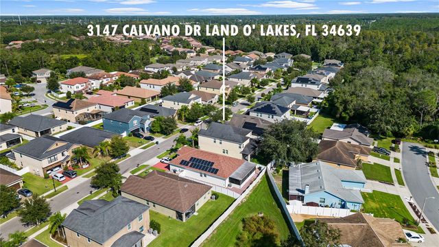 3147 CALVANO DRIVE, Land O Lakes, FL 34639