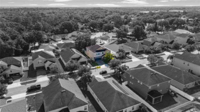 3147 CALVANO DRIVE, Land O Lakes, FL 34639