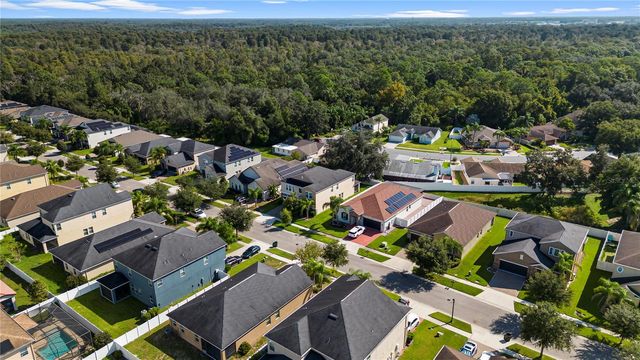 3147 CALVANO DRIVE, Land O Lakes, FL 34639