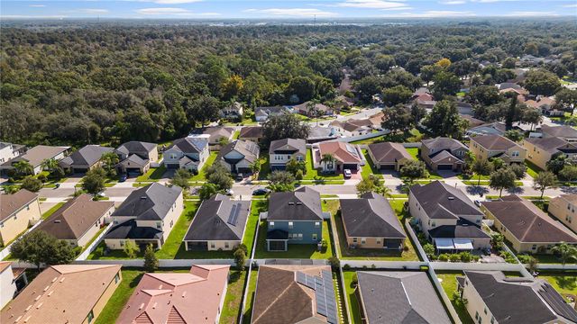 3147 CALVANO DRIVE, Land O Lakes, FL 34639