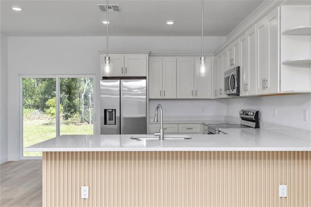 8753 N RAIDIN DRIVE, Citrus Springs, FL 34433