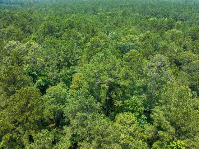 01 Lonestar Rd, Huntsville, TX 77340