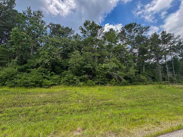 01 Lonestar Rd, Huntsville, TX 77340