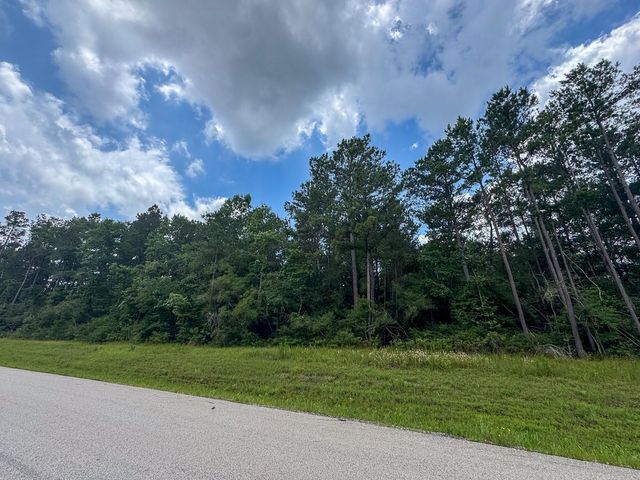 01 Lonestar Rd, Huntsville, TX 77340