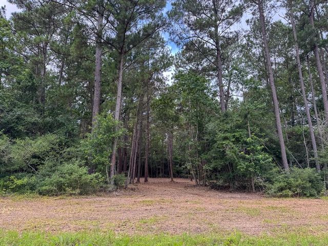 01 Lonestar Rd, Huntsville, TX 77340