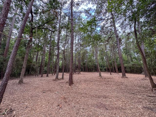 01 Lonestar Rd, Huntsville, TX 77340