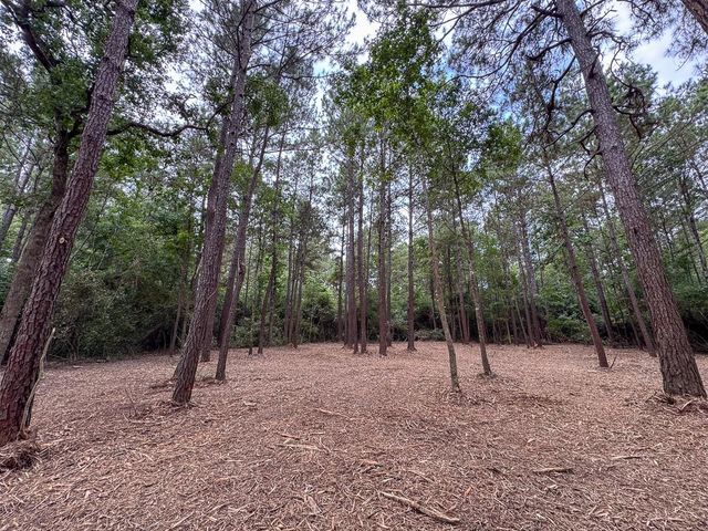 01 Lonestar Rd, Huntsville, TX 77340