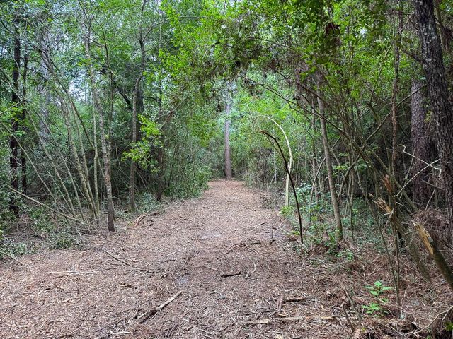 01 Lonestar Rd, Huntsville, TX 77340