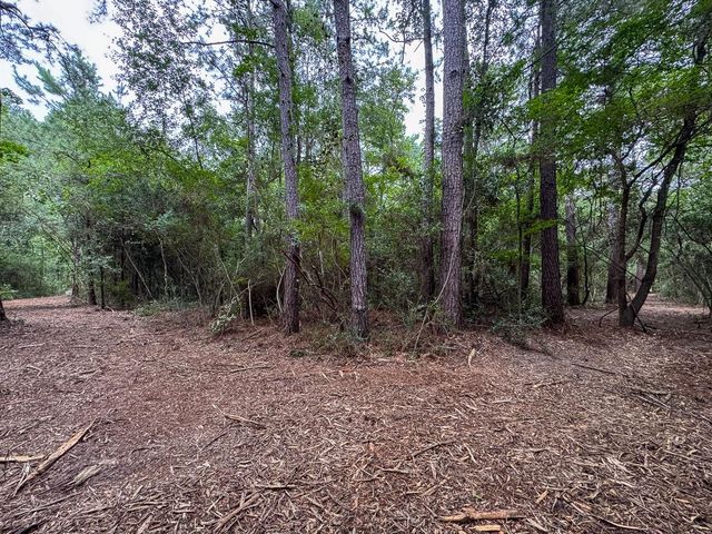 01 Lonestar Rd, Huntsville, TX 77340