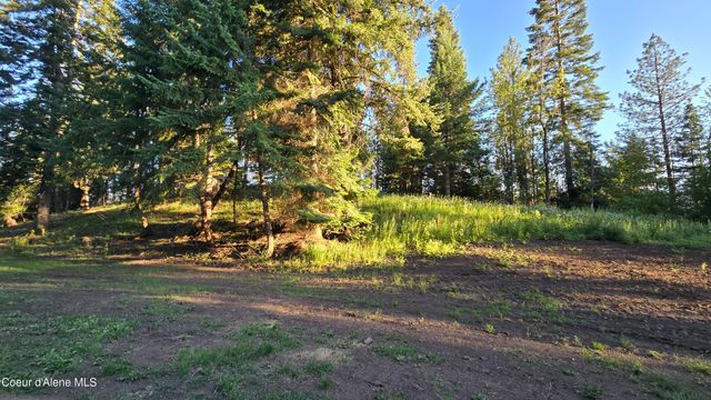 NNA Osier Vly Ln, St. Maries, ID 83861