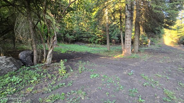 NNA Osier Vly Ln, St. Maries, ID 83861