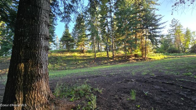 NNA Osier Vly Ln, St. Maries, ID 83861