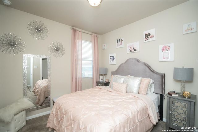 12904 LIAM CT, St Hedwig, TX 78152