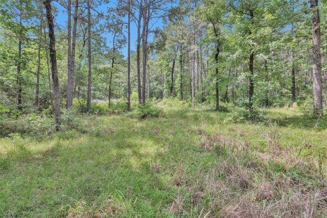 8327 Fm 980n, Huntsville, TX 77320