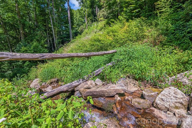 1482 Howard Moore Road, Hot Springs, NC 28743