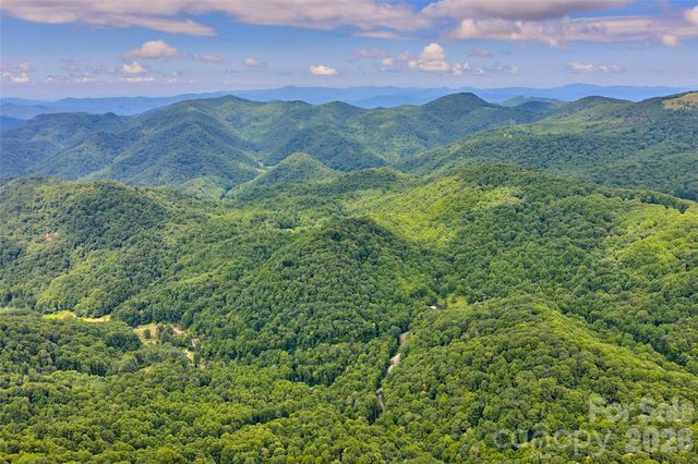 1482 Howard Moore Road, Hot Springs, NC 28743