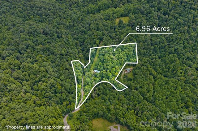 1482 Howard Moore Road, Hot Springs, NC 28743