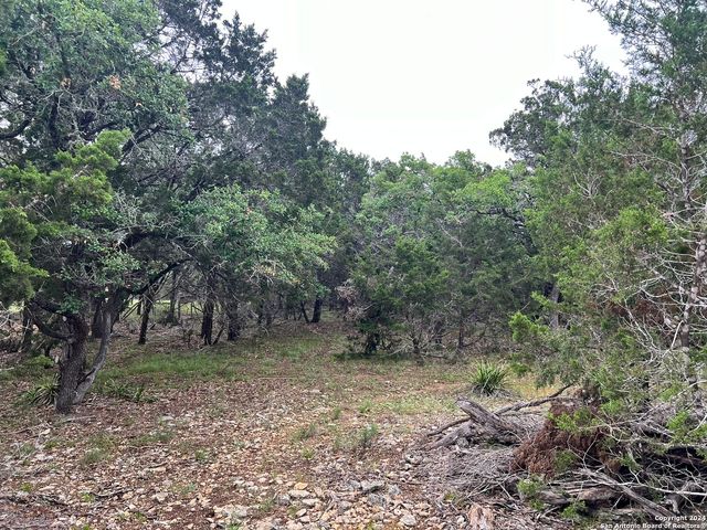 512 LASSO LOOP, Canyon Lake, TX 78133