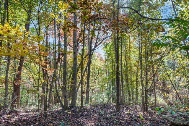 405 Marston Street, Spout Spring, VA 24593