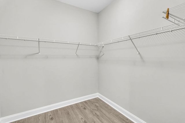 613 Daffodil Court, Summerville, SC 29486