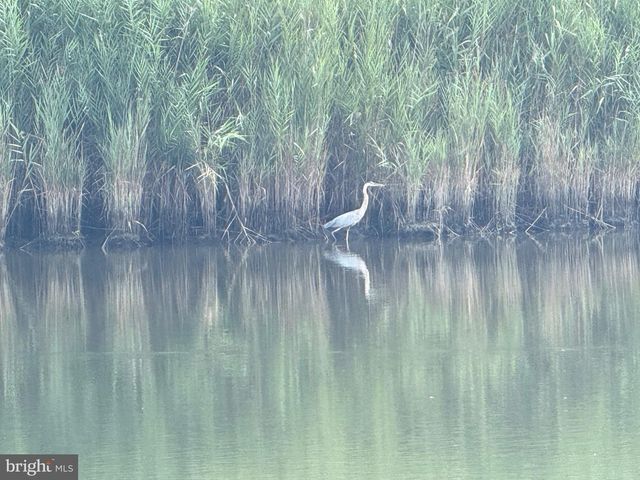 203 WATERFORD DR, Lewes, DE 19958