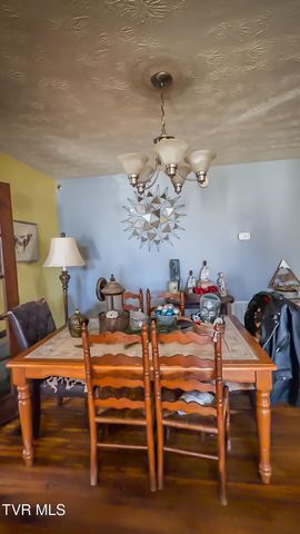 920 North Highway 421, Mountain City, TN 37683