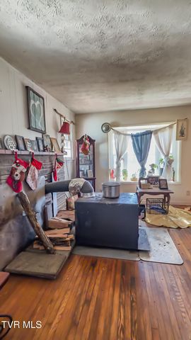 920 North Highway 421, Mountain City, TN 37683