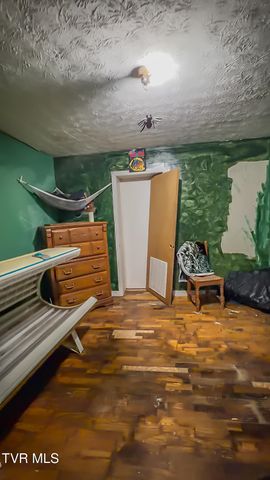 920 North Highway 421, Mountain City, TN 37683