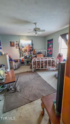 920 North Highway 421, Mountain City, TN 37683