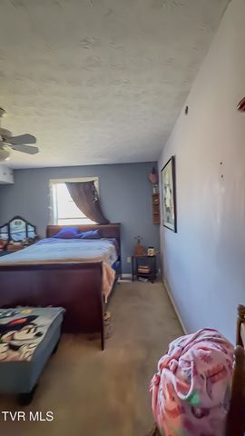 920 North Highway 421, Mountain City, TN 37683