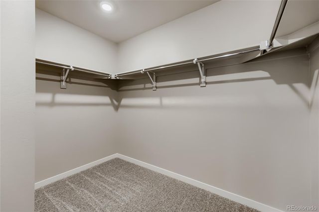 13749 Daffodil Point, Parker, CO 80134