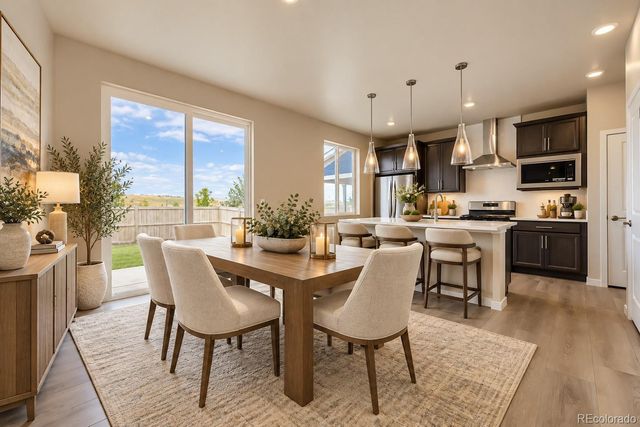 13749 Daffodil Point, Parker, CO 80134