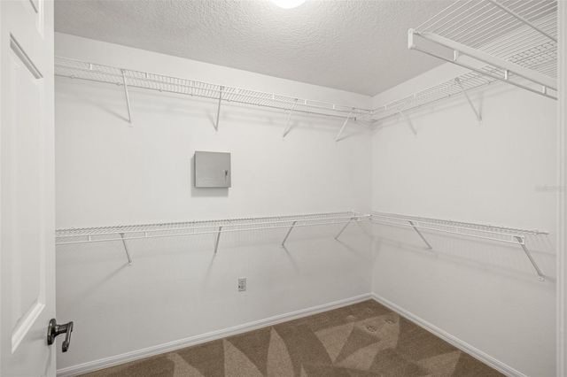 10246 TIMBERLAND POINT DR, Tampa, FL 33647