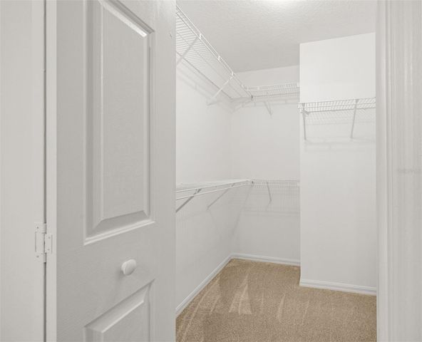 10246 TIMBERLAND POINT DR, Tampa, FL 33647